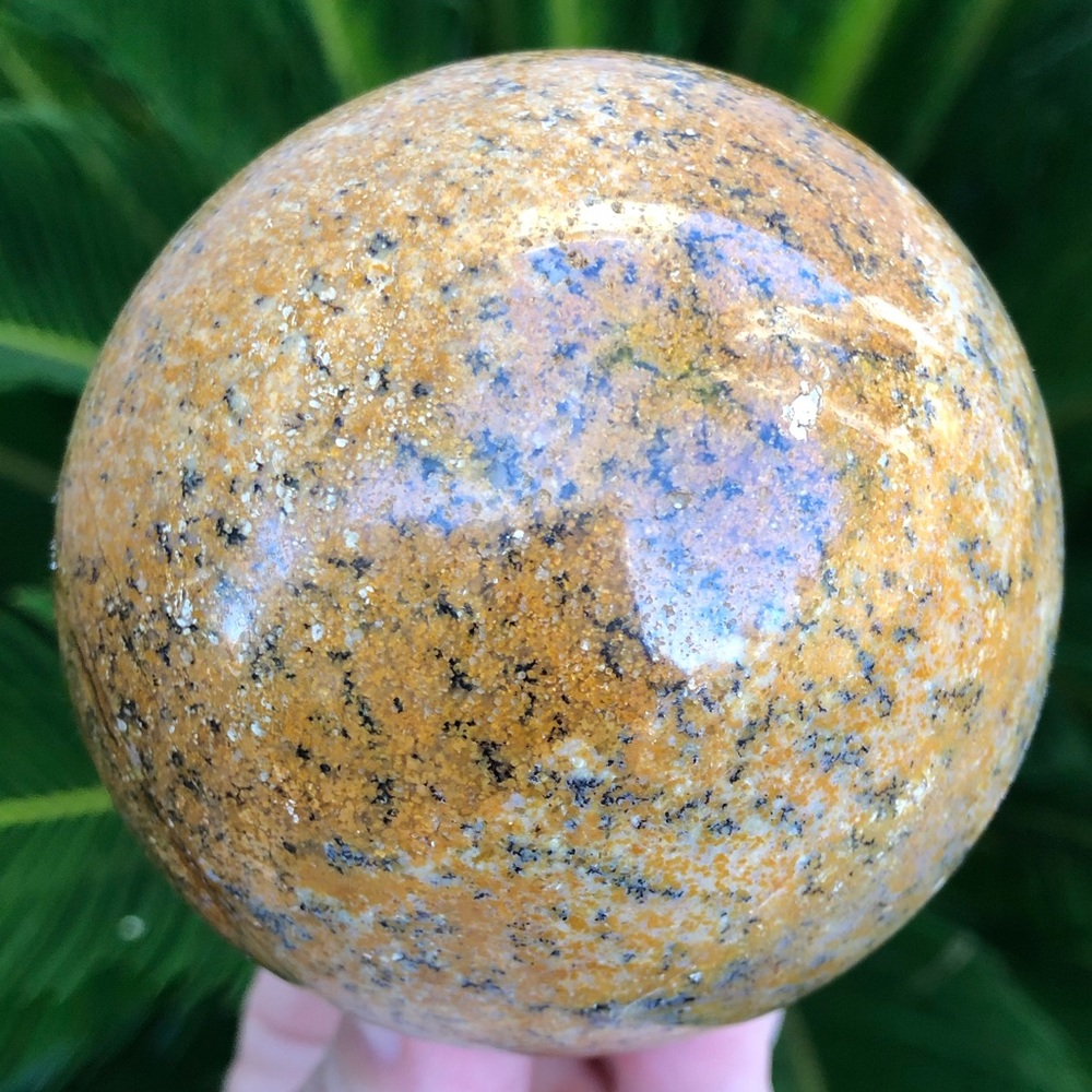 Leopard skin seed fossil jasper w/ rosewood stand